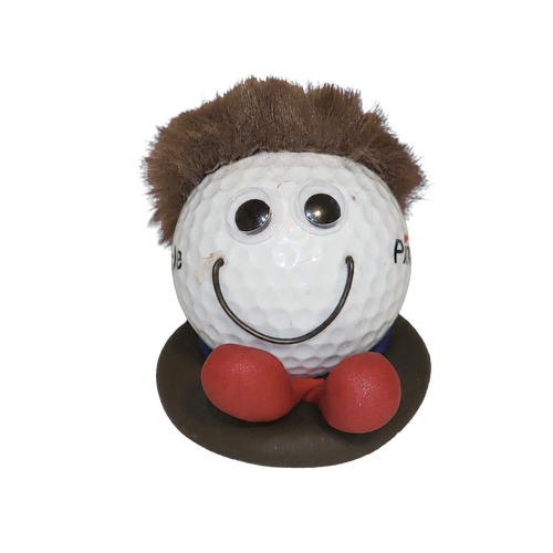 Adopt a Lost Ball — Choose Your Character