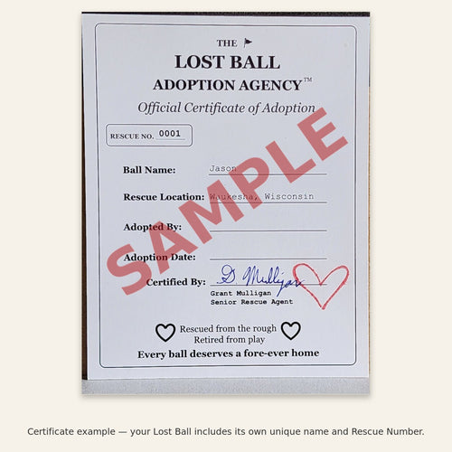 Adopt a Lost Ball — Choose Your Character